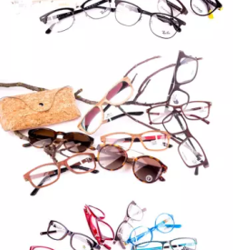 Pregled vida stajerska