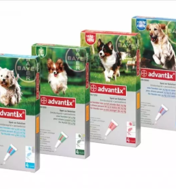 Preventivna cepljenja živali Goriška, Vipava