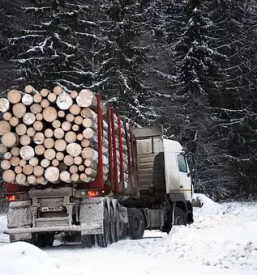 Prevoz lesa po sloveniji