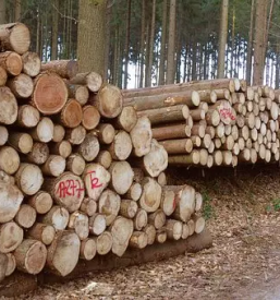 Prevoz lesa po sloveniji