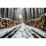 "BARIĆ" SEČNJA IN SPRAVILO LESA MLADEN BARIĆ S.P.