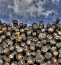 Prevozi lesa cerklje na gorenjskem