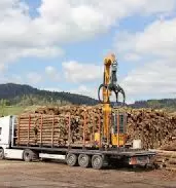 Prevozi lesa po sloveniji tujini