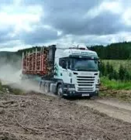 Prevozi lesa po sloveniji tujini