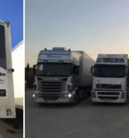 Prevozi s hladilniki evropa