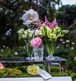 Pridelovanje cvetja savinjska