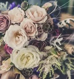 Ugodna cvetličarna Brezovica pri Ljubljani