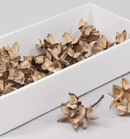Izdelki za aranžiranje