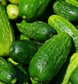 Prodaja domace zelenjave osrednja slovenija