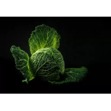 Zelenjava Forminka d.o.o.