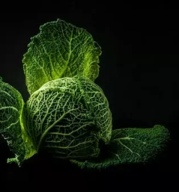 Prodaja domace zelenjave osrednja slovenija