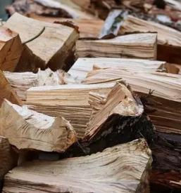 Prodaja drv peletov in briketov prekmurje