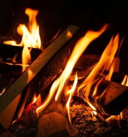 Prodaja drv peletov in briketov prekmurje