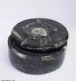 Prodaja fosilov v sloveniji