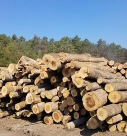 Prodaja gnojil saleska dolina