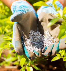 Prodaja kvalitetnih gnojil Štajerska