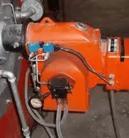 Prodaja gorilcev osrednja slovenija