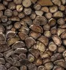 Prodaja hlodovine bela krajina