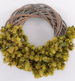 Dobava hmelja za čaj Slovenija