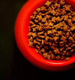 Prodaja hrane za macke in pse ravne na koroskem