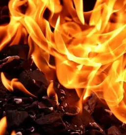 Prodaja in dostava drv za kurjavo stajerska