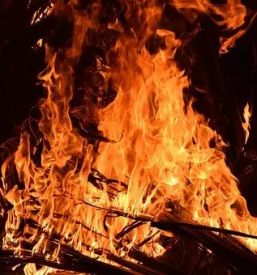 Prodaja in dostava drv za kurjavo stajerska