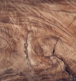 Prodaja in dostava drv za kurjavo stajerska