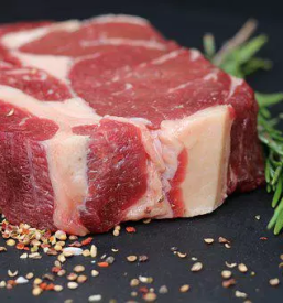 Prodaja in predelava svezega govejega mesa v sloveniji