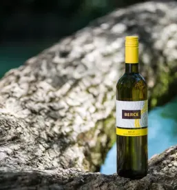 Prodaja kvalitetne marmelade vipavska dolina