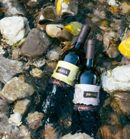 Prodaja kvalitetne marmelade vipavska dolina