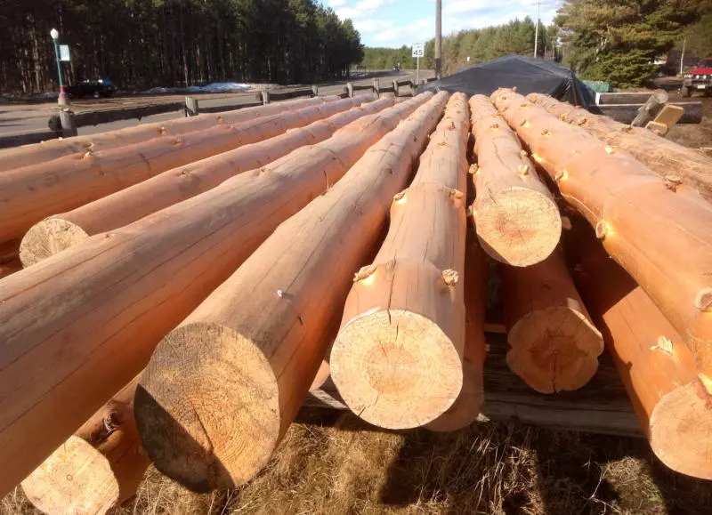 Prodaja lesa Posavje