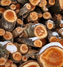 Prodaja lesa stajerska