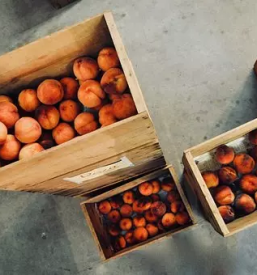 Prodaja lesene embalaže osrednja slovenija