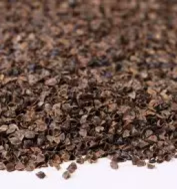 Prodaja lezisc slovenija