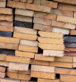 Prodaja odkup rezanega lesa savinjska
