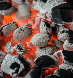 Prodaja oglja Litija