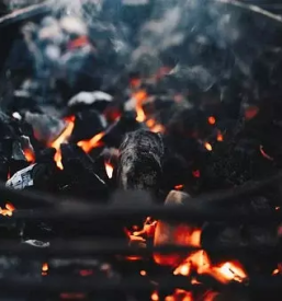 oglje za žar Litija