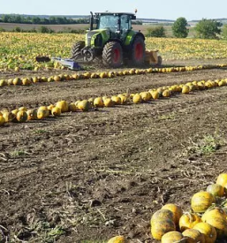 Prodaja olja Pragersko