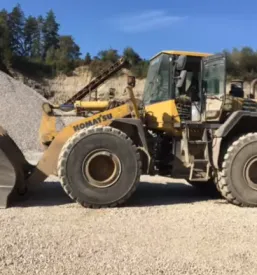 Prodaja prodca Koroška
