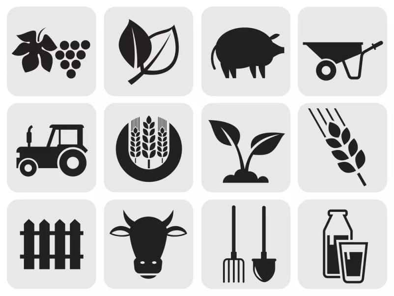 Repromaterial za kmetijstvo in lokalni proizvodi Slovenska Bistrica