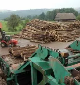 Prodaja rezanega lesa slovenija