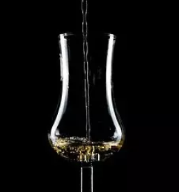 Domače žganje cena 