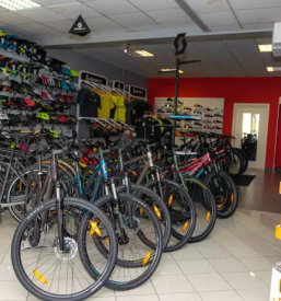 Poceni prodaja Scott koles Maribor