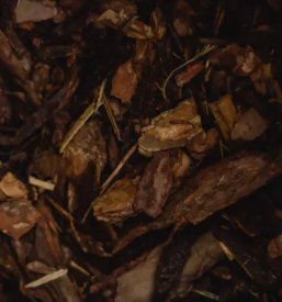 Prodaja sekancev goriska