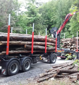 Prodaja sekancev v Sloveniji