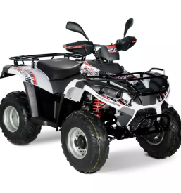 Štirikolesniki v Ljubljani