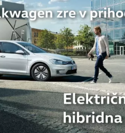 Prodaja volkswagen primorska