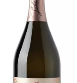 Prodaja vrhunskega belega vina starejrska slovenija