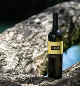 Prodaja vrhunskih vin vipavska dolina