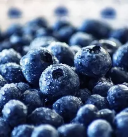 Prodaja zelenjave na debelo slovenija